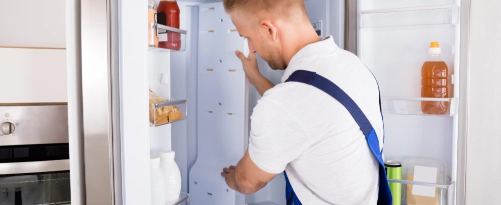 Šaldytuvo pajungimas (pajungimas + atvykimas į vietą 60 €)